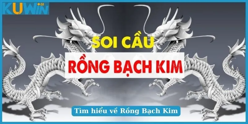 Bí quyết chơi Rồng Bạch Kim hiệu quả